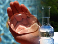 coagulant and flocculant